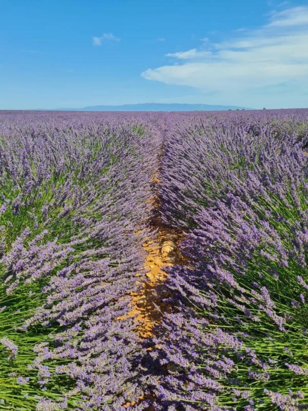 Vila Escapades En Ventoux Venasque Exteriér fotografie
